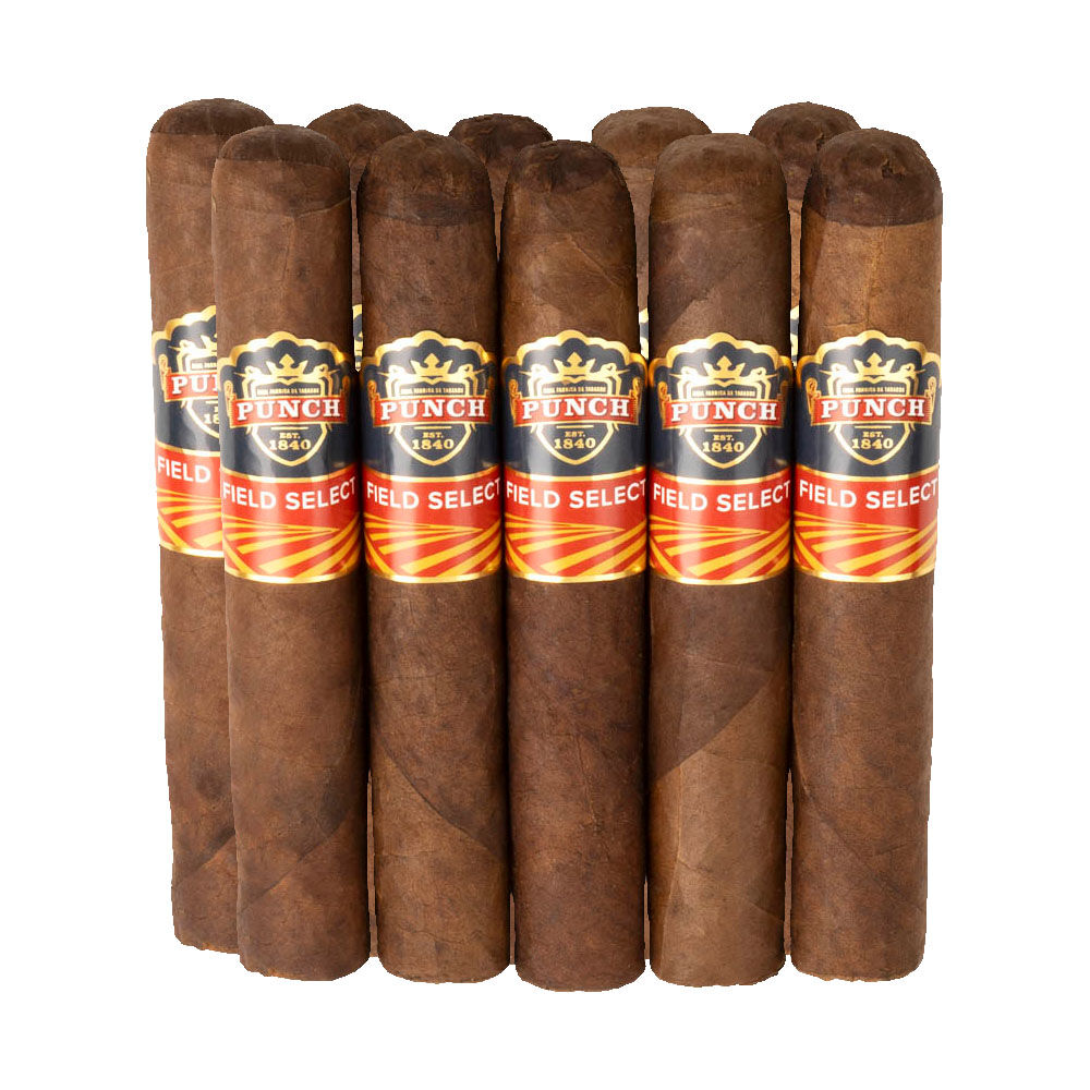 Punch Field Select - Robusto